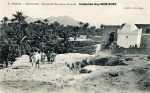 FIGUIG 008- COLLECTION MONTANER_2